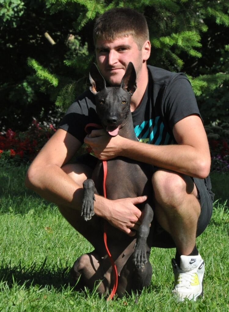 ���� 31590447 ������� ����, 32 ����, ���� ���������� � ������