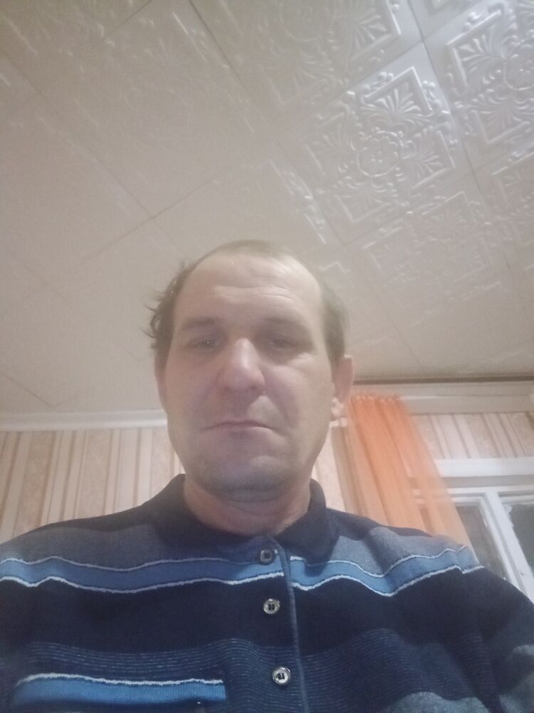  31624207  , 44 ,    -