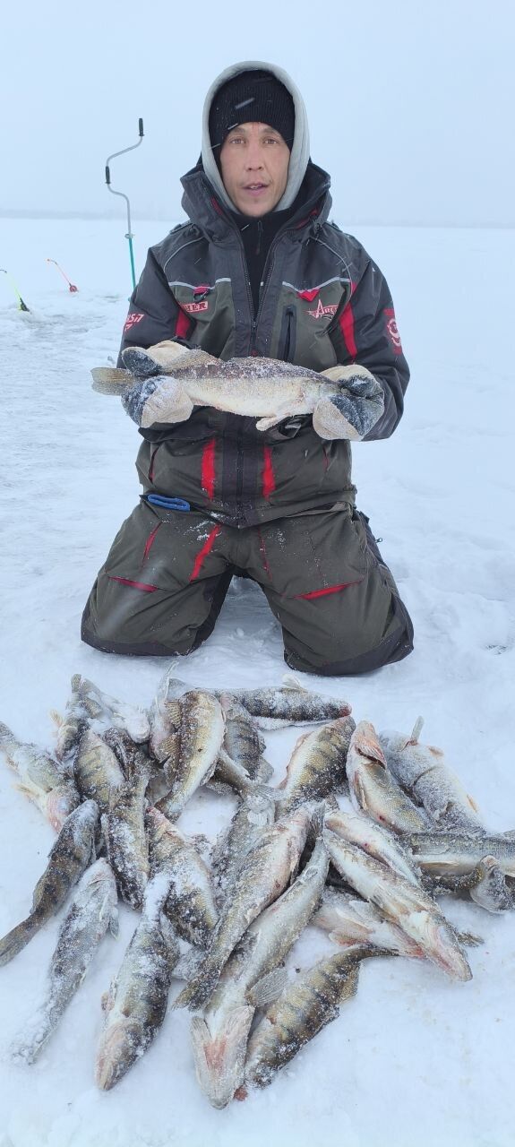 ���������� ���������, ���� ������� �������, 32 ����, ������������ ��� ������, ����� � ���������, c�������� ���������