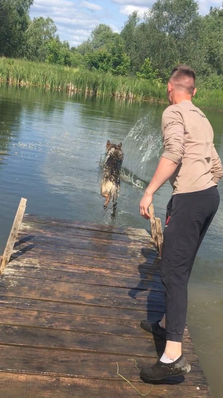 ���������� ������ ��������, ���� ����� �������, 25 ���, ������������ ��� ������, ����� � ���������