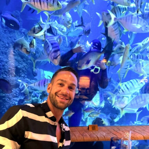 ���� 55811797 ������� �������, 41 ���, ���� ���������� � �������������