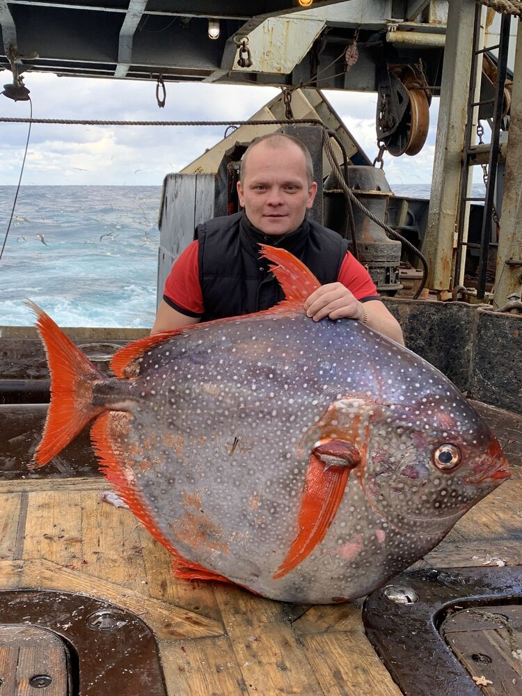 ���� 30392847 ������� �����, 38 ���, ���� ���������� � �������