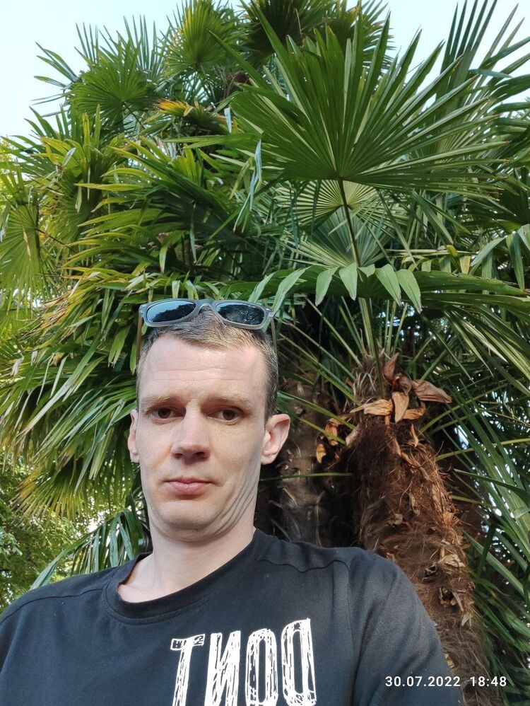  29350987  Vetalios, 40 ,    