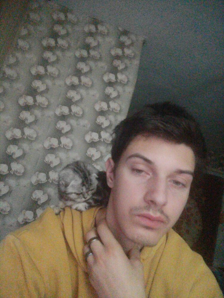 ���� 56033987 ����� ������, 21 ���, ���� ���������� � ���������