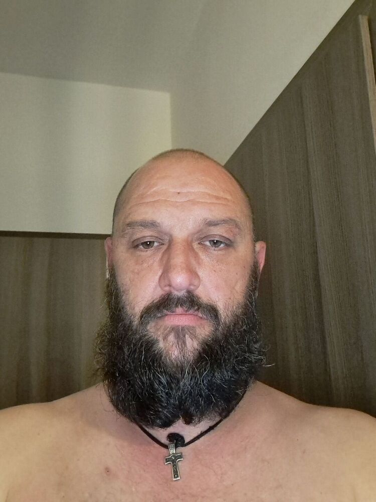  43555627  , 38 ,    