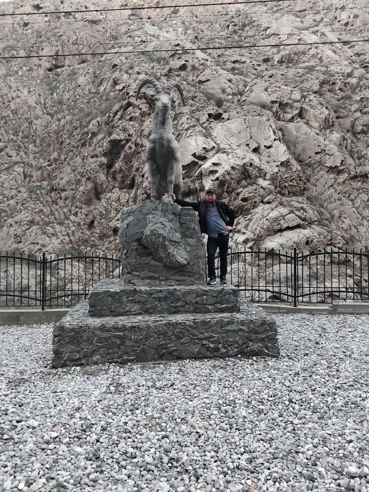 ���� 51293707 ������� ���, 37 ���, ���� ���������� � ��������