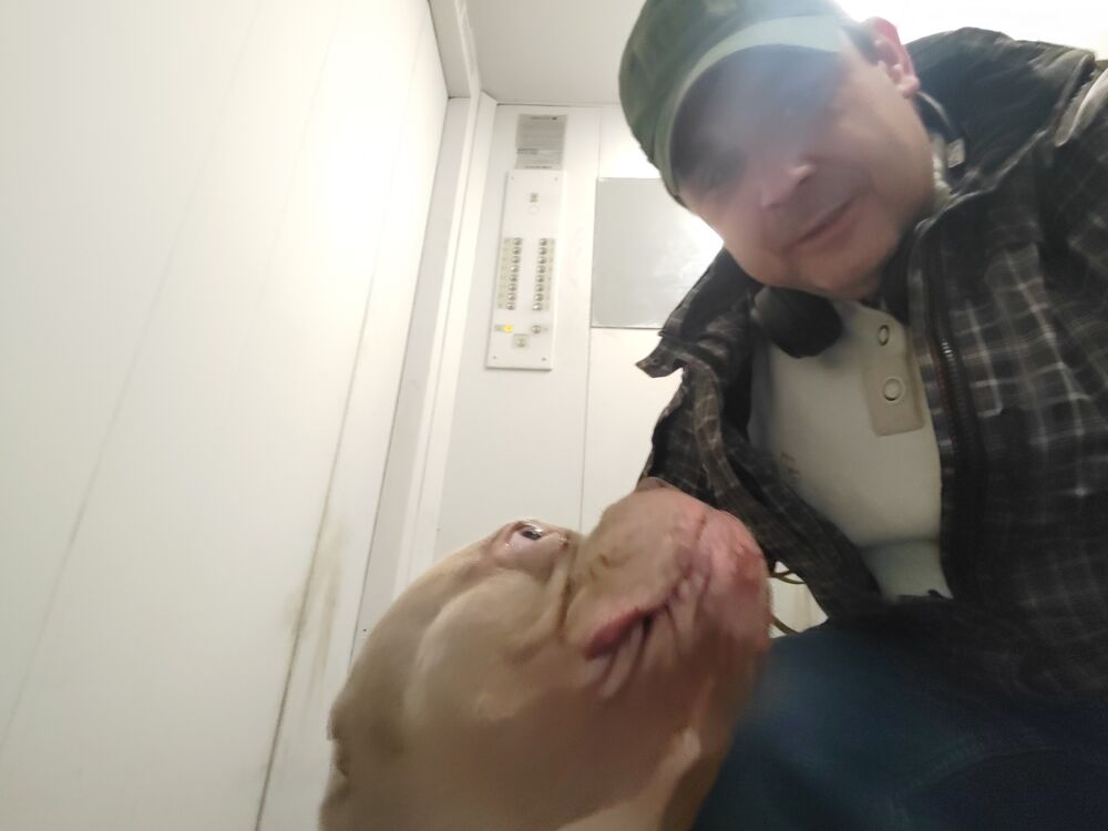 ���� 47998927 ������� �������, 39 ���, ���� ���������� � ������