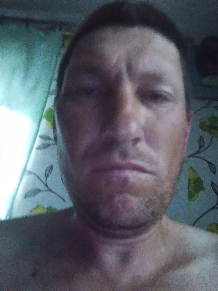  23452947  , 46 ,    