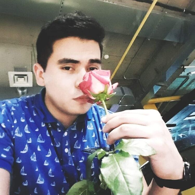 ���������� �����-���������, ���� ������� �������, 32 ����, ������������ ��� ������, ����� � ���������, c�������� ���������