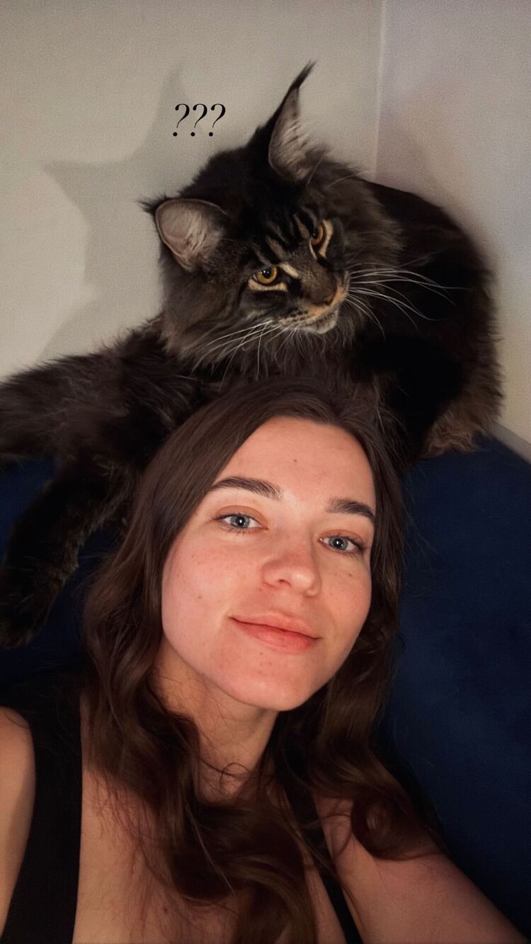 ���� 51372517 ������� �����, 28 ���, ���� ���������� � ������