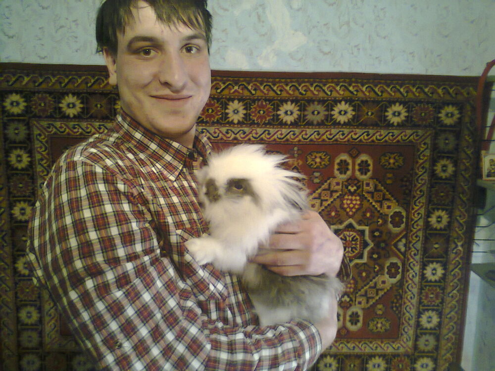 ���� 4036907 ������� ���, 36 ���, ���� ���������� � ������