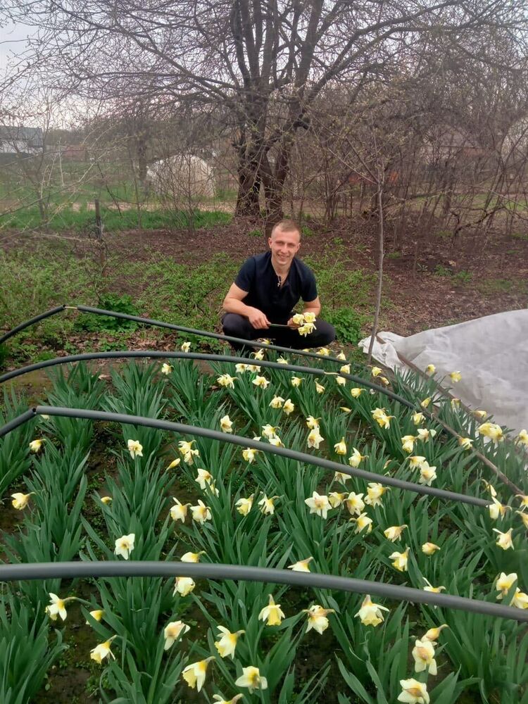 ���������� ����, ���� ������� ���, 29 ���, ������������ ��� ������, ����� � ���������