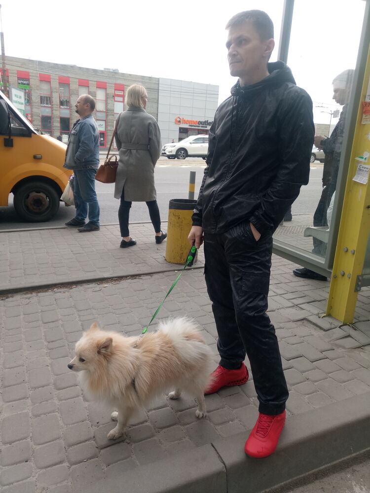 ���������� ��������������, ���� ������� ���������, 38 ���, ������������ ��� ������