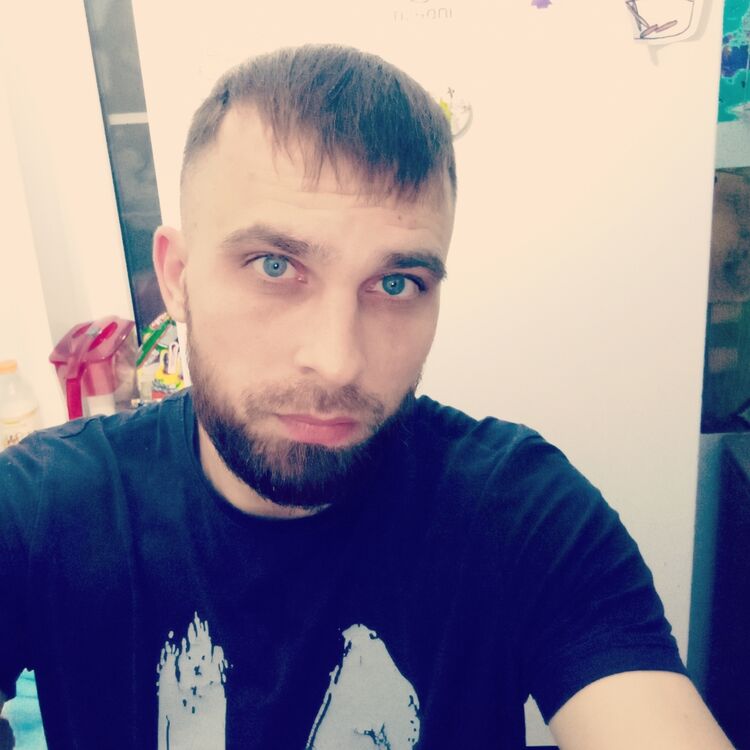  31697667  , 37 ,    