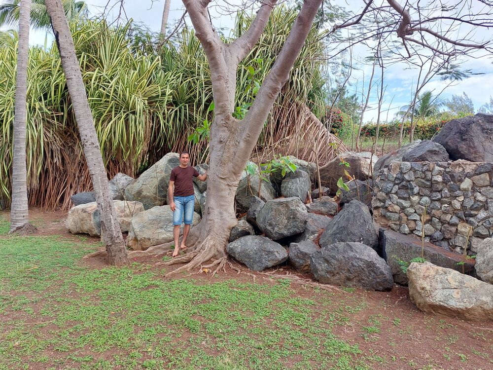 ���� 26161407 ������� ������, 44 ����, ���� ���������� � �����