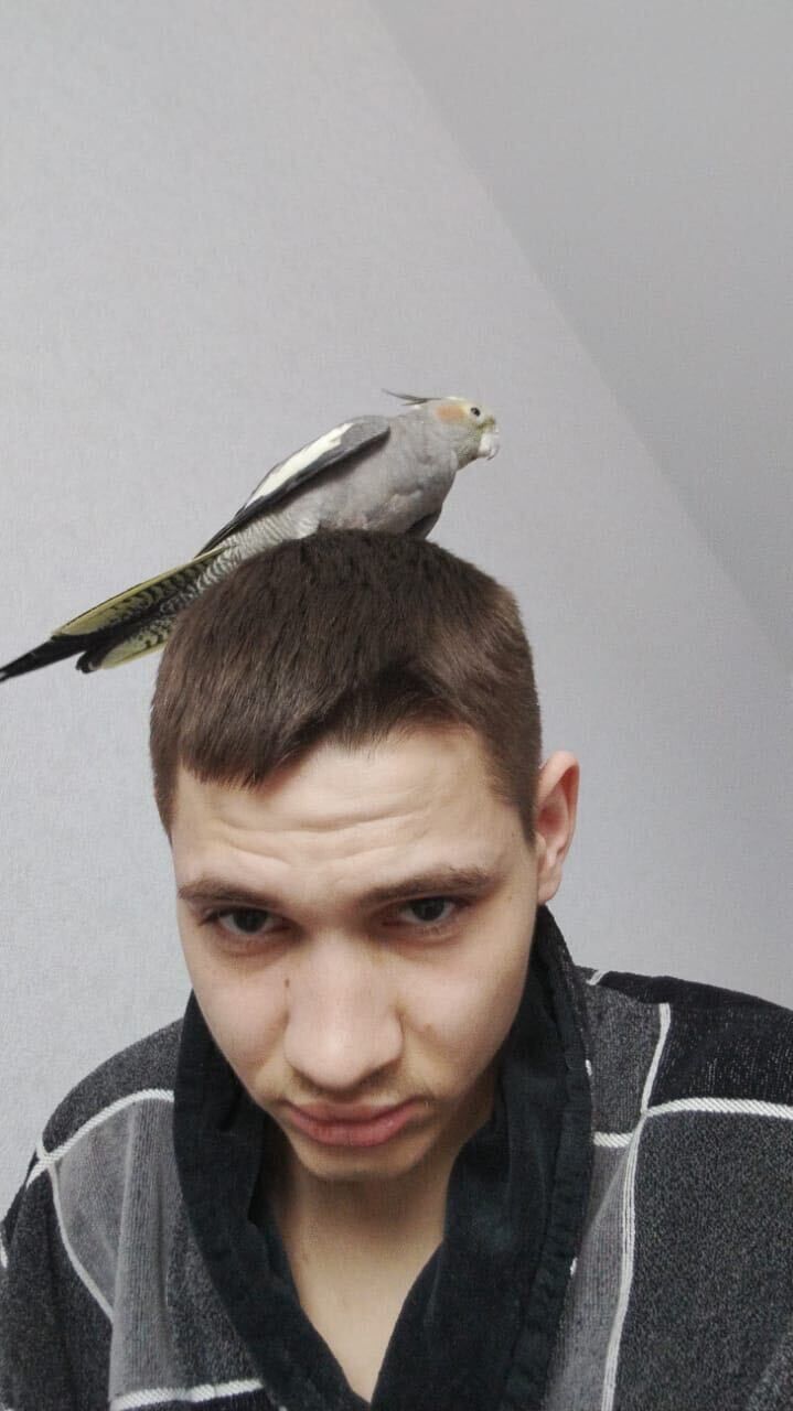 ���������� ���������, ���� ����� ������, 24 ����, ������������ ��� ������, ����� � ���������, c�������� ���������