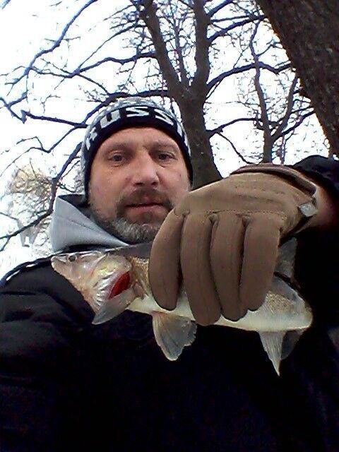 ���������� �����-���������, ���� ������� ��������, 54 ����, ������������ ��� ������, ����� � ���������, c�������� ���������