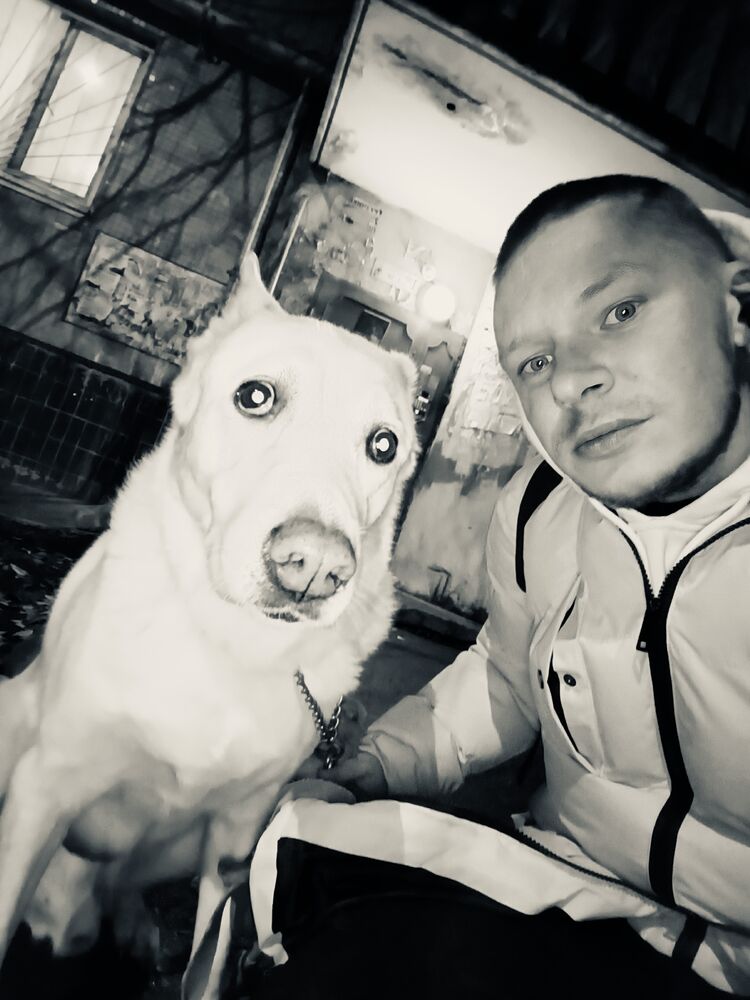 ���� 47955737 ������� Joker, 33 ����, ���� ���������� � ������