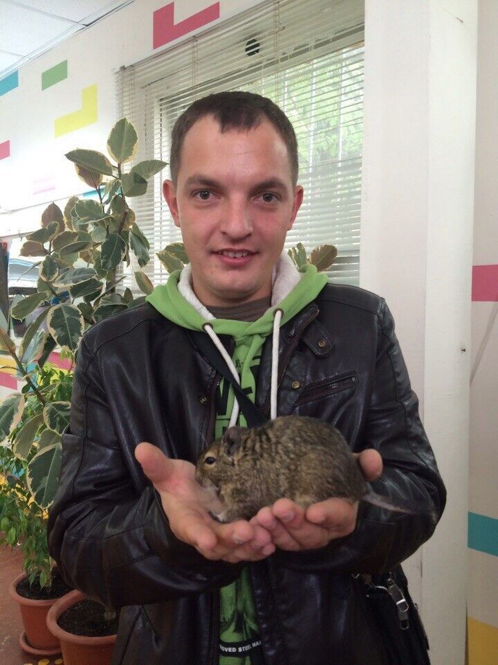 ���� 8288817 ������� ���������, 35 ���, ���� ���������� � ����������