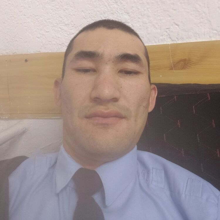  52696167  , 31 ,    