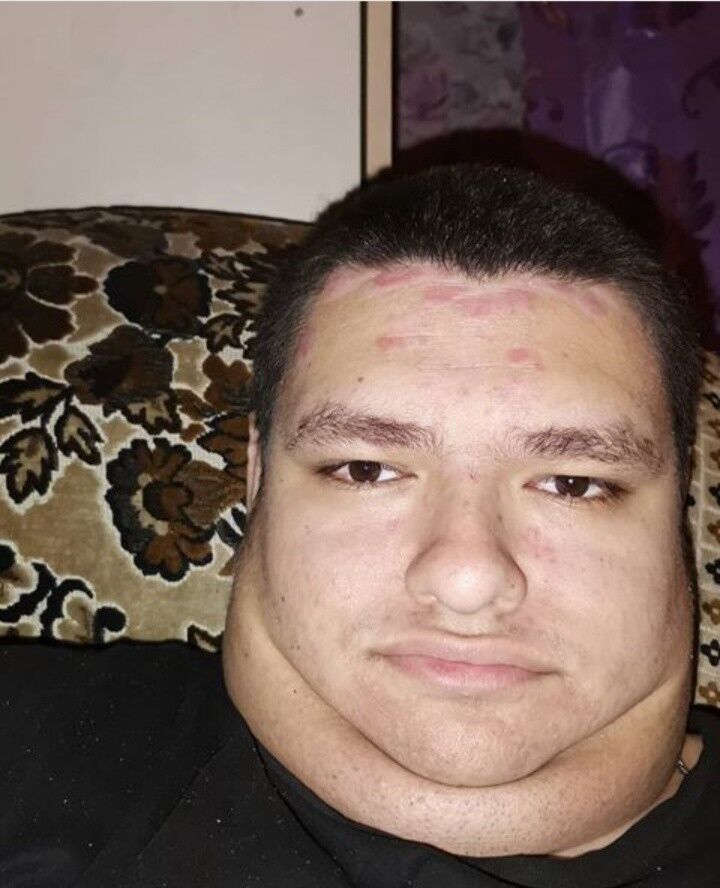 ���� 18208477 ������� Arnold, 103 ����, ���� ���������� � �����