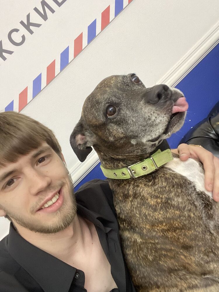 ���������� ������, ���� ������� ���� ��� ��, 27 ���, ������������ ��� ������, ����� � ���������