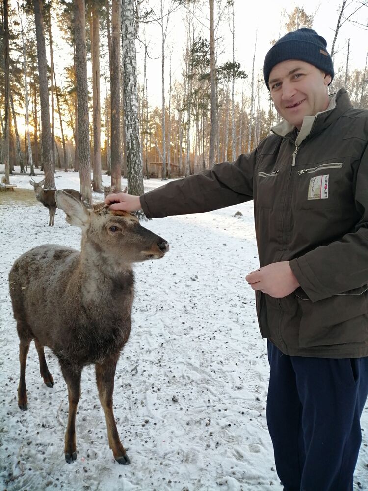 ���� 40065137 ������� �������, 48 ���, ���� ���������� � �������������