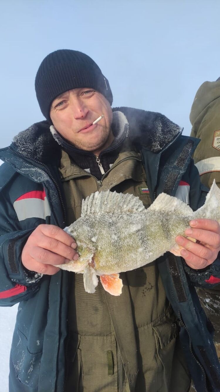 ���� 55344677 ������� ������, 40 ���, ���� ���������� � �������