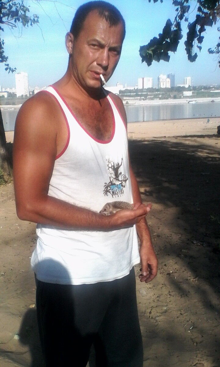  8619857  , 44 ,    --