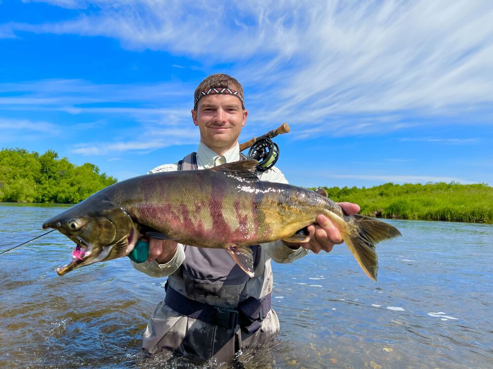 ���������� ������, ���� ������� ����, 29 ���, ������������ ��� ������, ����� � ���������