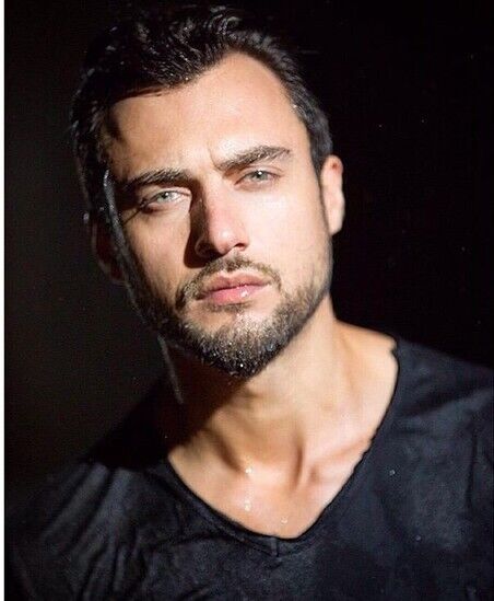 ���������� ����, ���� ������� Elvin, 34 ����, ������������ ��� ������, ����� � ���������