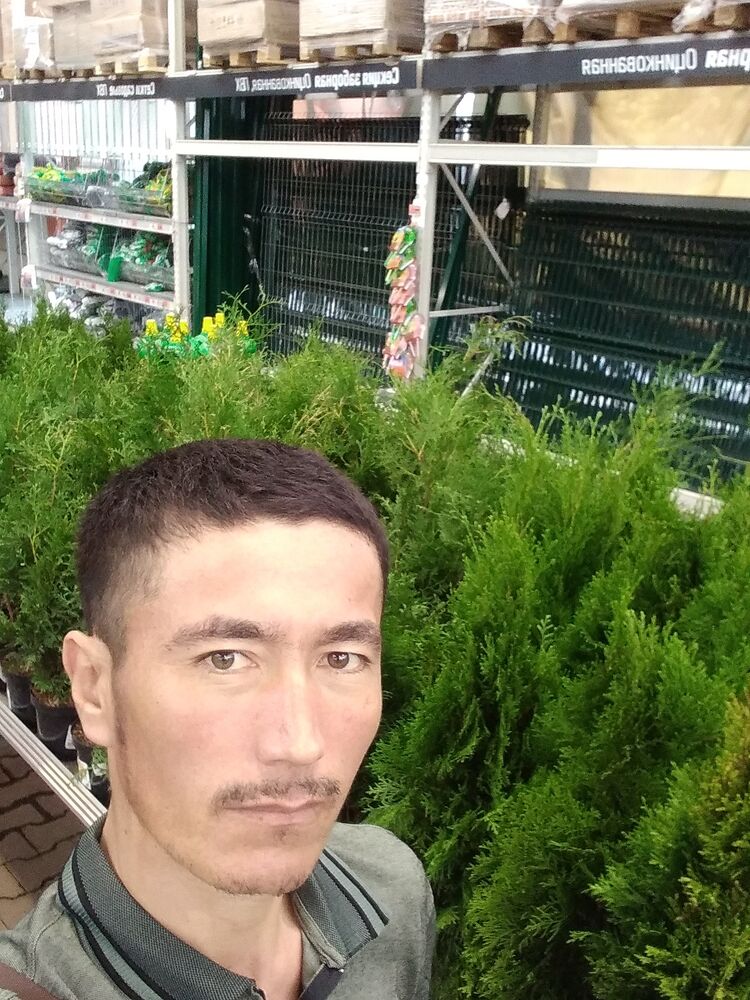 ���� 28083487 ������� ������, 37 ���, ���� ���������� � �����-����������