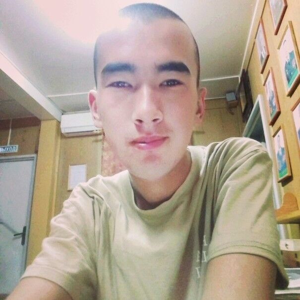  12005387  , 29 ,    
