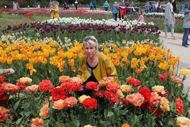 ���� 17051837 ������� �����, 52 ����, ���� ���������� � ����������