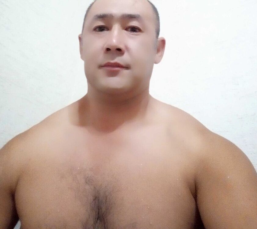  ,   Timur, 40 ,     , c 