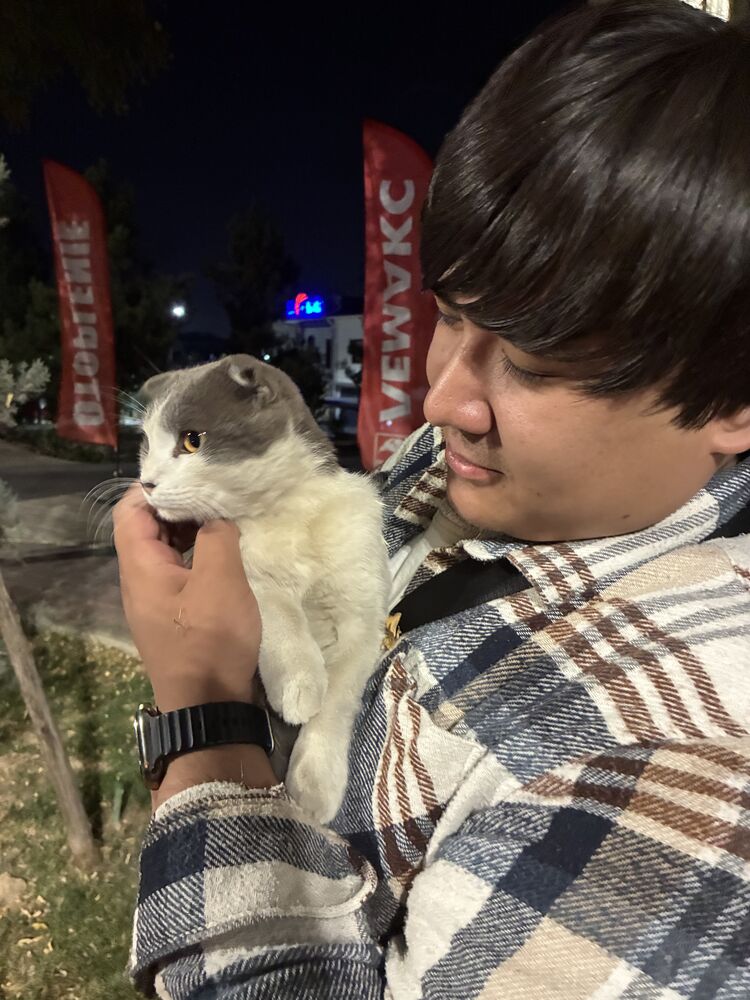 ���� 54768747 ������� �����, 27 ���, ���� ���������� � ��������