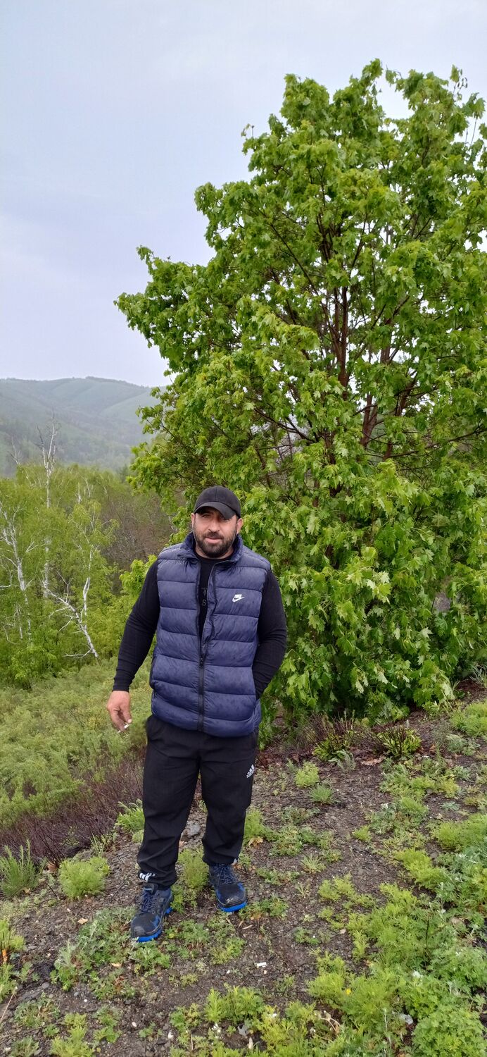 ���� 55911957 ������� ���, 36 ���, ���� ���������� � ����������