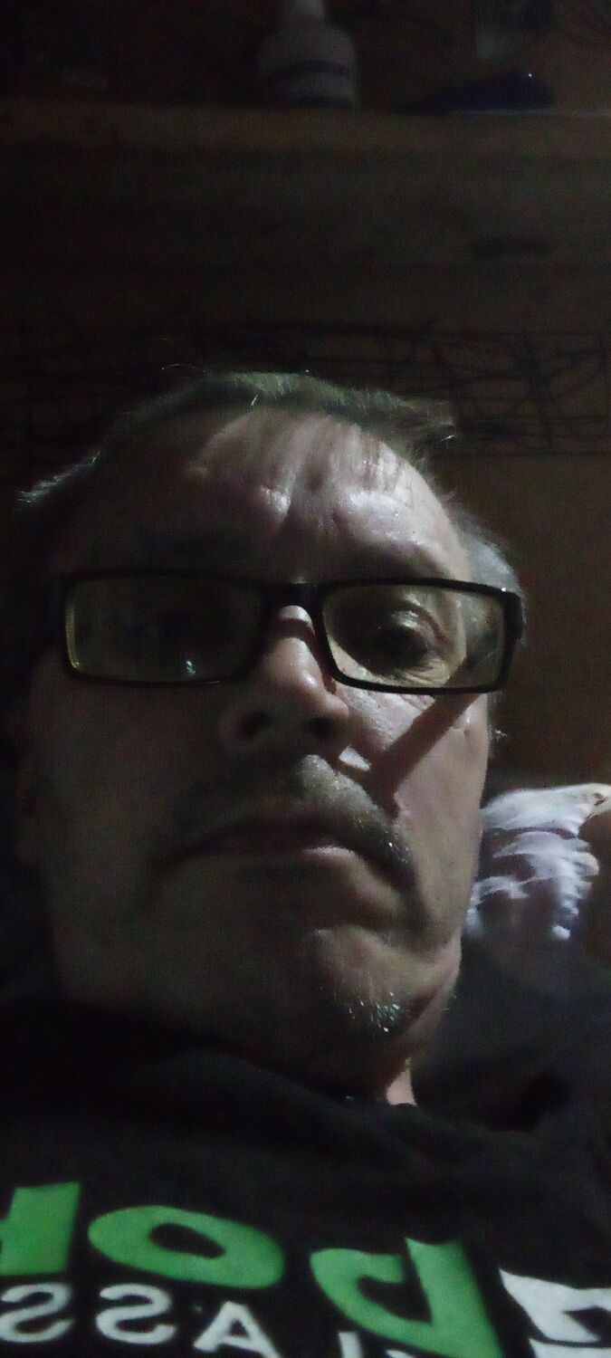  42459377  , 46 ,    
