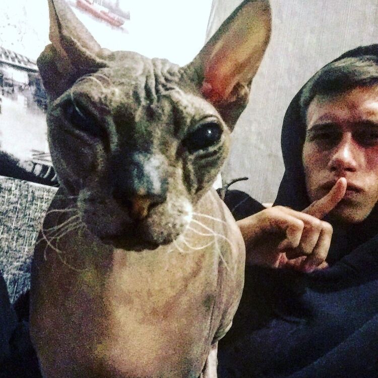 ���� 25500047 ������� ������, 26 ���, ���� ���������� � �����