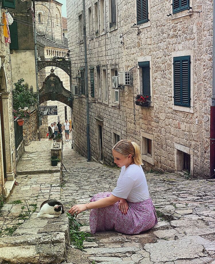  53889237  , 31 ,    --