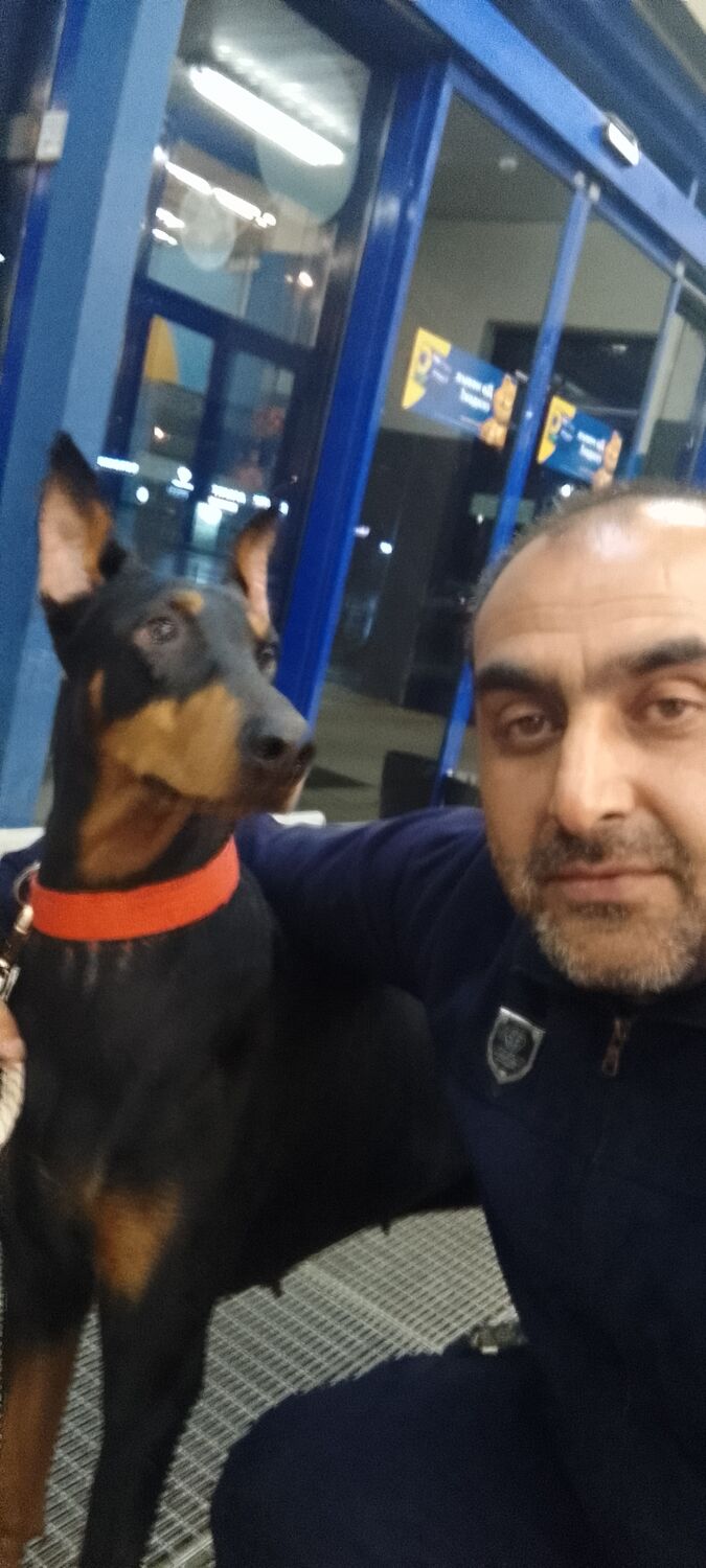 ���������� ���������, ���� ������� �����, 44 ����, ������������ ��� ������, ����� � ���������