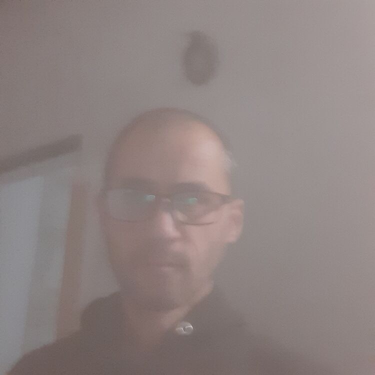 ���� 31375297 ������� �����, 46 ���, ���� ���������� � ������