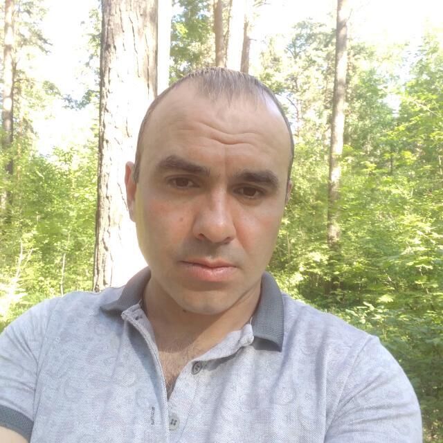  31469127  , 44 ,    -
