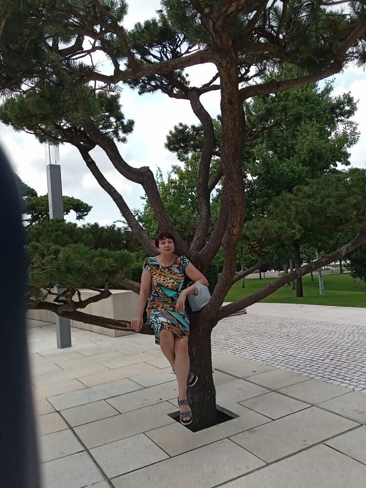 ���� 41555677 ������� �������, 65 ���, ���� ���������� � ����������