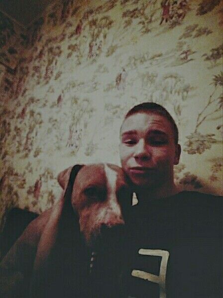 ���� 23695997 ����� ����, 24 ����, ���� ���������� � ����-��������