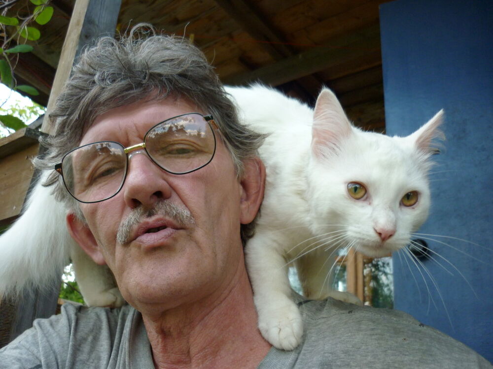  ,   , 66 ,   