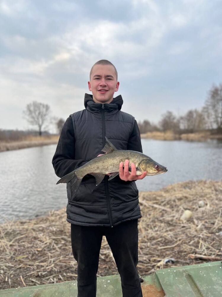 ���� 55568357 ����� ������, 25 ���, ���� ���������� � �������