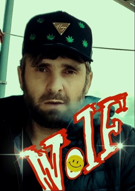 ���� 55059287 ������� Wolf, 37 ���, ���� ���������� � ����������