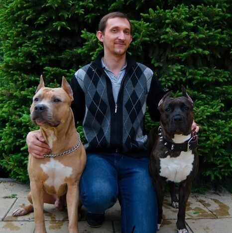 ���� 54247537 ������� ����������, 38 ���, ���� ���������� � ������