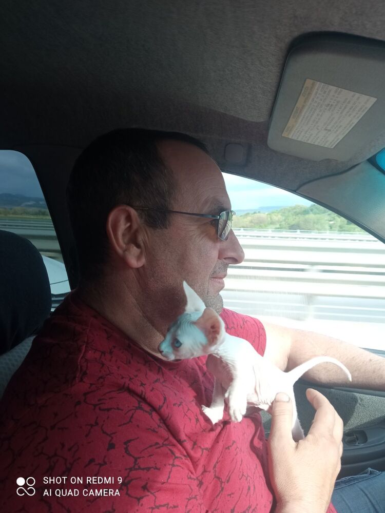  ,   , 52 ,   ,   
